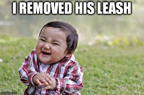 Evil Toddler Meme | I REMOVED HIS LEASH | image tagged in memes,evil toddler | made w/ Imgflip meme maker