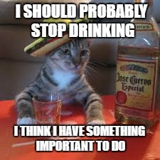 drunk cat | I SHOULD PROBABLY STOP DRINKING; I THINK I HAVE SOMETHING IMPORTANT TO DO | image tagged in drunk,cat,forgot | made w/ Imgflip meme maker