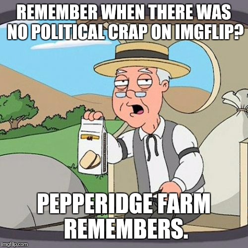 Pepperidge Farm Remembers | REMEMBER WHEN THERE WAS NO POLITICAL CRAP ON IMGFLIP? PEPPERIDGE FARM REMEMBERS. | image tagged in memes,pepperidge farm remembers,funny,lol,game_king | made w/ Imgflip meme maker