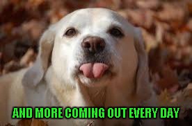 AND MORE COMING OUT EVERY DAY | made w/ Imgflip meme maker