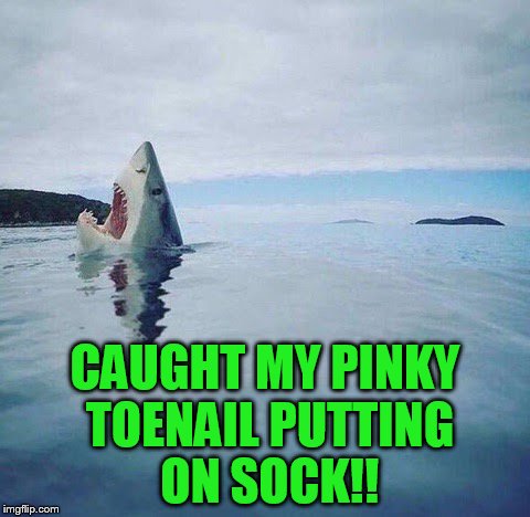 shark_head_out_of_water | CAUGHT MY PINKY TOENAIL PUTTING ON SOCK!! | image tagged in shark_head_out_of_water | made w/ Imgflip meme maker