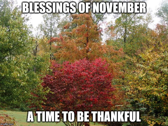 november | BLESSINGS OF NOVEMBER; A TIME TO BE THANKFUL | image tagged in november | made w/ Imgflip meme maker