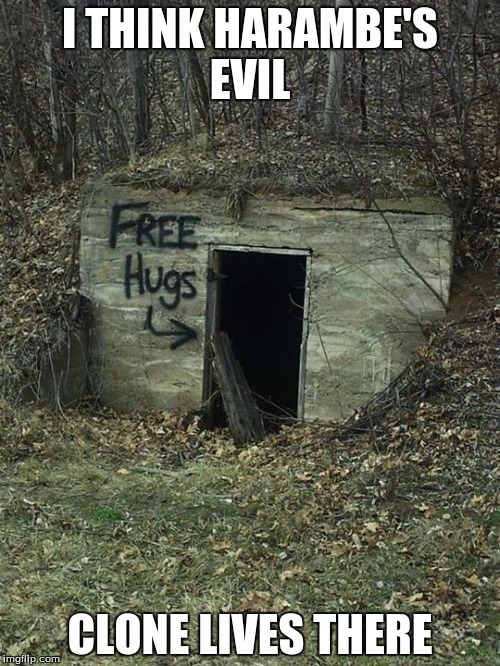 Creepy Hugs | I THINK HARAMBE'S EVIL; CLONE LIVES THERE | image tagged in creepy hugs | made w/ Imgflip meme maker