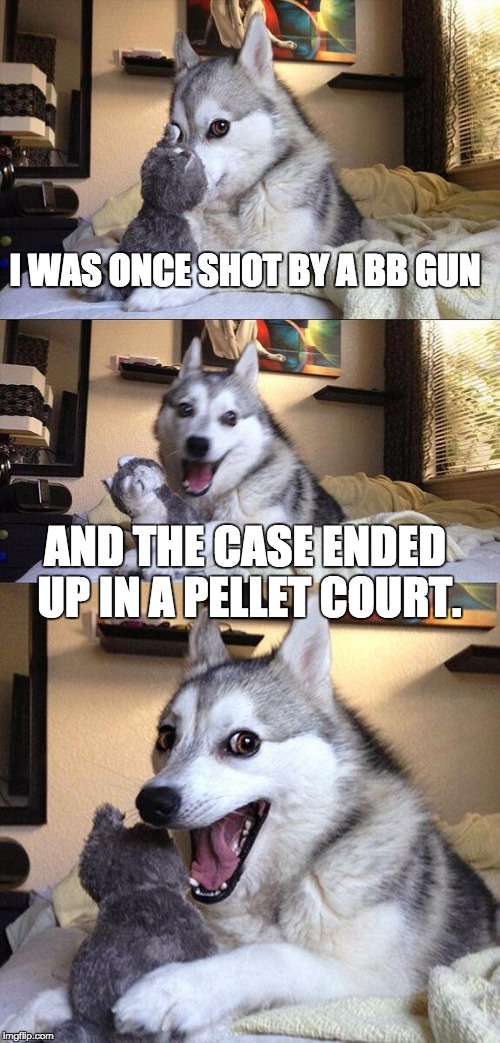 Bad Pun Dog | I WAS ONCE SHOT BY A BB GUN; AND THE CASE ENDED UP IN A PELLET COURT. | image tagged in bad pun dog | made w/ Imgflip meme maker