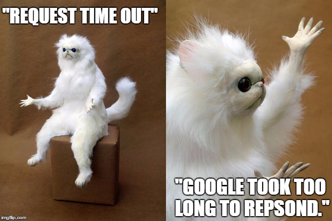 Persian Cat Room Guardian Meme | "REQUEST TIME OUT"; "GOOGLE TOOK TOO LONG TO REPSOND." | image tagged in memes,persian cat room guardian,template quest,funny,google,frustration | made w/ Imgflip meme maker
