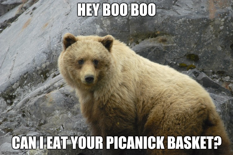 When Yogi Bear Molests You | HEY BOO BOO; CAN I EAT YOUR PICANICK BASKET? | image tagged in yogi bear | made w/ Imgflip meme maker