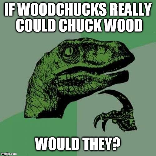 Let's try this again, without the typos this time | IF WOODCHUCKS REALLY COULD CHUCK WOOD; WOULD THEY? | image tagged in memes,philosoraptor | made w/ Imgflip meme maker