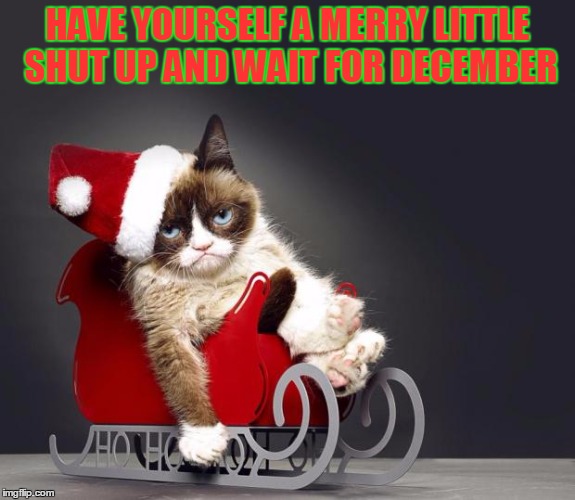 Grumpy Cat Christmas HD | HAVE YOURSELF A MERRY LITTLE SHUT UP AND WAIT FOR DECEMBER | image tagged in grumpy cat christmas hd | made w/ Imgflip meme maker