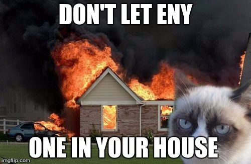 Burn Kitty Meme | DON'T LET ENY; ONE IN YOUR HOUSE | image tagged in memes,burn kitty | made w/ Imgflip meme maker