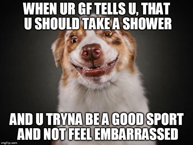 WHEN UR GF TELLS U, THAT U SHOULD TAKE A SHOWER; AND U TRYNA BE A GOOD SPORT AND NOT FEEL EMBARRASSED | image tagged in whenutrynabeagoodsportdog | made w/ Imgflip meme maker