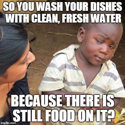 Third World Skeptical Kid | SO YOU WASH YOUR DISHES WITH CLEAN, FRESH WATER; BECAUSE THERE IS STILL FOOD ON IT? | image tagged in memes,third world skeptical kid | made w/ Imgflip meme maker