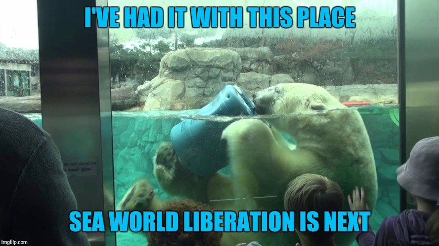I'VE HAD IT WITH THIS PLACE SEA WORLD LIBERATION IS NEXT | made w/ Imgflip meme maker