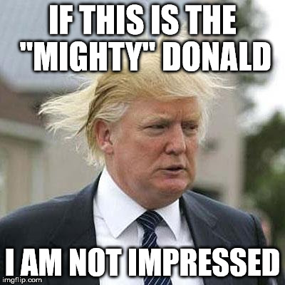Donald Trump | IF THIS IS THE "MIGHTY" DONALD; I AM NOT IMPRESSED | image tagged in donald trump | made w/ Imgflip meme maker