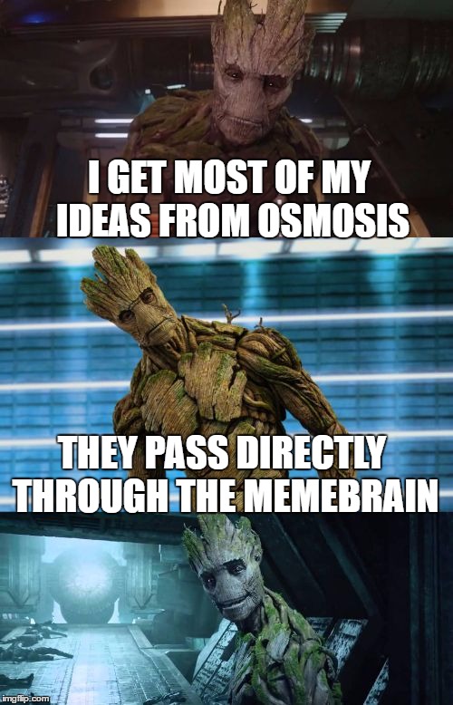 Deep thought Groot (I82QB4IP gave me this idea. Thx) | I GET MOST OF MY IDEAS FROM OSMOSIS; THEY PASS DIRECTLY THROUGH THE MEMEBRAIN | image tagged in bad pun groot,memes,bad pun,guardians of the galaxy,groot,ideas | made w/ Imgflip meme maker