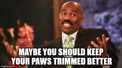 Steve Harvey Meme | MAYBE YOU SHOULD KEEP YOUR PAWS TRIMMED BETTER | image tagged in memes,steve harvey | made w/ Imgflip meme maker