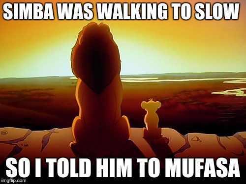 Lion King Meme | SIMBA WAS WALKING TO SLOW; SO I TOLD HIM TO MUFASA | image tagged in memes,lion king | made w/ Imgflip meme maker