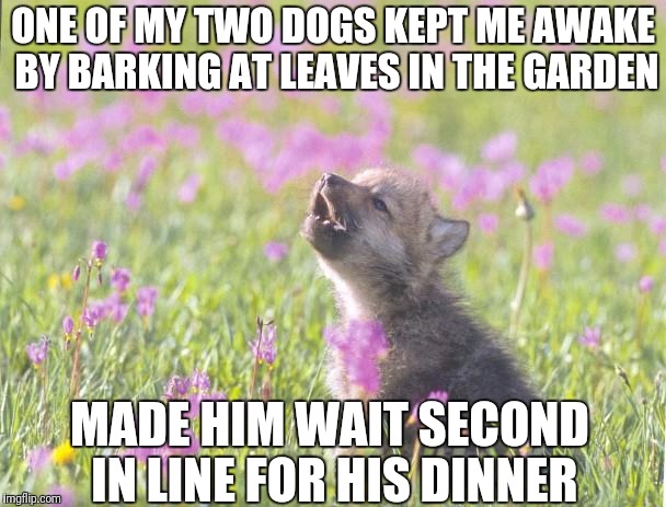Baby Insanity Wolf Meme | ONE OF MY TWO DOGS KEPT ME AWAKE BY BARKING AT LEAVES IN THE GARDEN; MADE HIM WAIT SECOND IN LINE FOR HIS DINNER | image tagged in memes,baby insanity wolf | made w/ Imgflip meme maker
