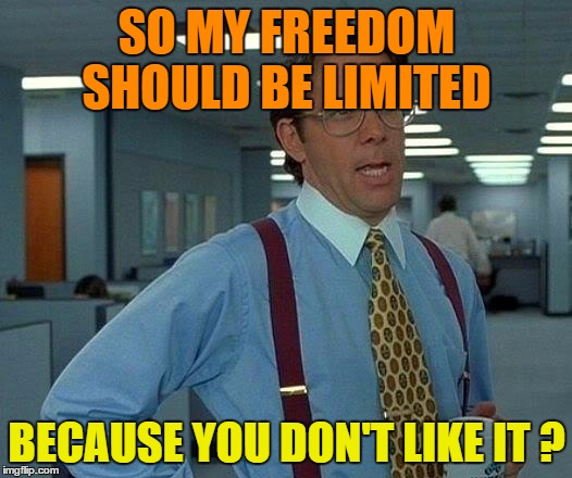 That Would Be Great Meme | SO MY FREEDOM SHOULD BE LIMITED BECAUSE YOU DON'T LIKE IT ? | image tagged in memes,that would be great | made w/ Imgflip meme maker