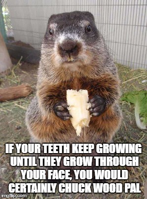 IF YOUR TEETH KEEP GROWING UNTIL THEY GROW THROUGH YOUR FACE, YOU WOULD CERTAINLY CHUCK WOOD PAL | made w/ Imgflip meme maker