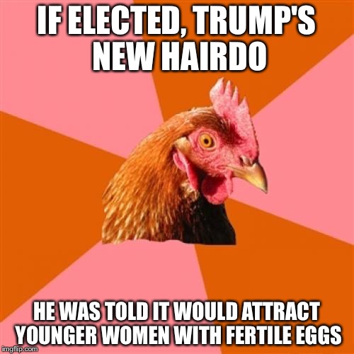 Anti Joke Chicken Meme | IF ELECTED, TRUMP'S NEW HAIRDO; HE WAS TOLD IT WOULD ATTRACT YOUNGER WOMEN WITH FERTILE EGGS | image tagged in memes,anti joke chicken | made w/ Imgflip meme maker