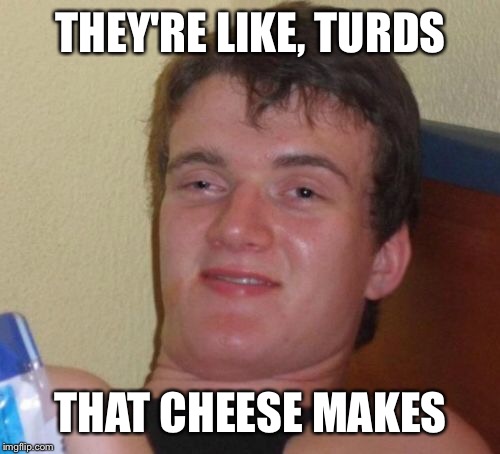 10 Guy Meme | THEY'RE LIKE, TURDS THAT CHEESE MAKES | image tagged in memes,10 guy | made w/ Imgflip meme maker