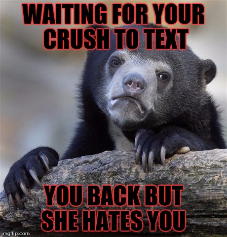 Confession Bear Meme | WAITING FOR YOUR CRUSH TO TEXT; YOU BACK BUT SHE HATES YOU | image tagged in memes,confession bear | made w/ Imgflip meme maker