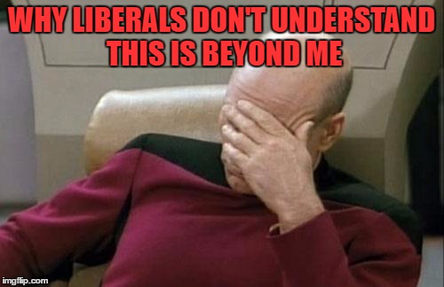 Captain Picard Facepalm Meme | WHY LIBERALS DON'T UNDERSTAND THIS IS BEYOND ME | image tagged in memes,captain picard facepalm | made w/ Imgflip meme maker