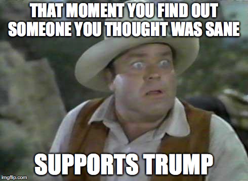 Hoss  | THAT MOMENT YOU FIND OUT SOMEONE YOU THOUGHT WAS SANE; SUPPORTS TRUMP | image tagged in hoss cartwright,trumphole | made w/ Imgflip meme maker