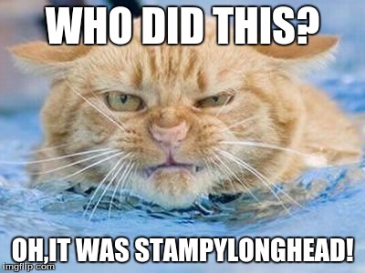 WHO DID THIS? OH,IT WAS STAMPYLONGHEAD! | image tagged in lol | made w/ Imgflip meme maker
