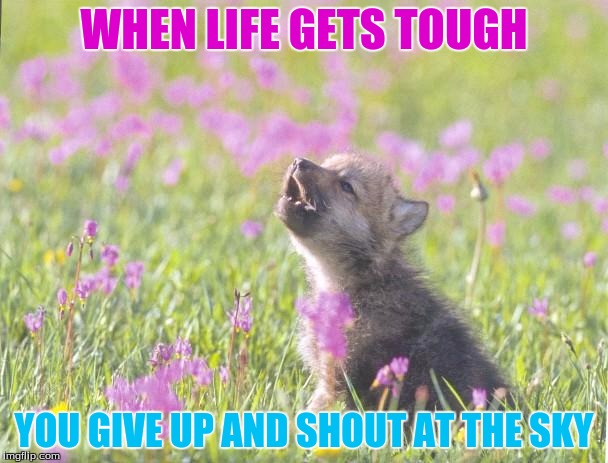 What You Do When You Give Up To The World | WHEN LIFE GETS TOUGH; YOU GIVE UP AND SHOUT AT THE SKY | image tagged in memes,baby insanity wolf,funny,demotivationals | made w/ Imgflip meme maker