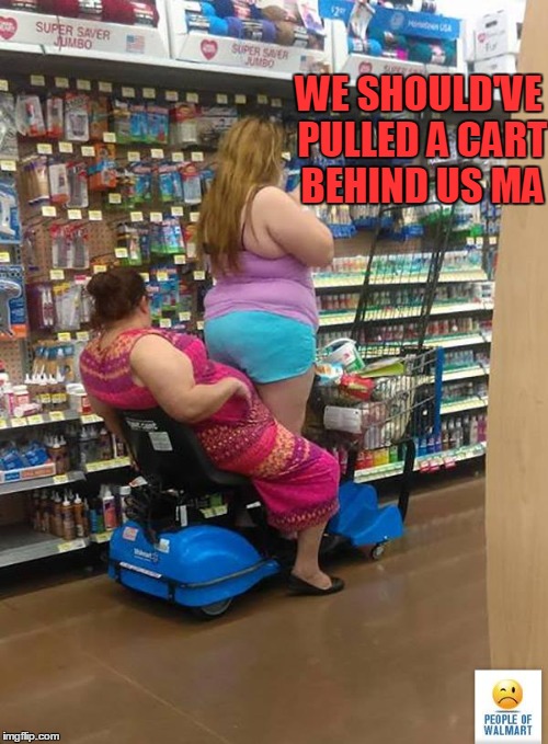 WE SHOULD'VE PULLED A CART BEHIND US MA | made w/ Imgflip meme maker