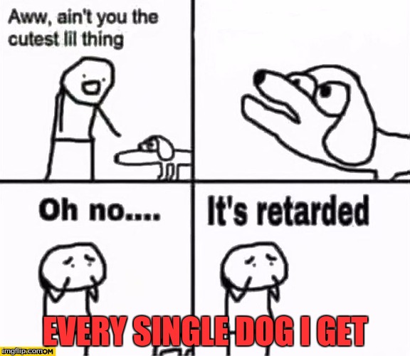 Oh no it's retarded! | EVERY SINGLE DOG I GET | image tagged in oh no it's retarded | made w/ Imgflip meme maker