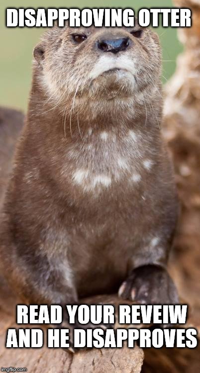 Disapproving Otter | DISAPPROVING OTTER; READ YOUR REVEIW AND HE DISAPPROVES | image tagged in disapproving otter | made w/ Imgflip meme maker
