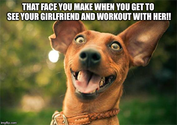 Happy dog | THAT FACE YOU MAKE WHEN YOU GET TO SEE YOUR GIRLFRIEND AND WORKOUT WITH HER!! | image tagged in happy dog | made w/ Imgflip meme maker