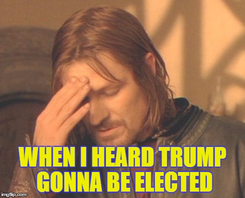 Frustrated Boromir | WHEN I HEARD TRUMP GONNA BE ELECTED | image tagged in memes,frustrated boromir | made w/ Imgflip meme maker