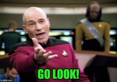 Picard Wtf Meme | GO LOOK! | image tagged in memes,picard wtf | made w/ Imgflip meme maker