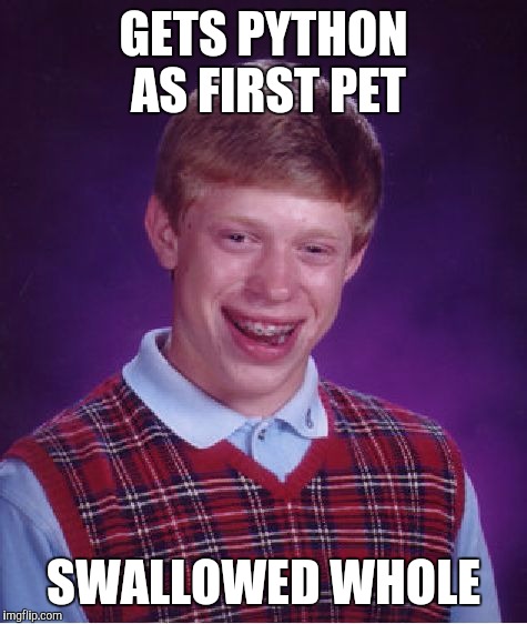 Bad Luck Brian Meme | GETS PYTHON AS FIRST PET; SWALLOWED WHOLE | image tagged in memes,bad luck brian | made w/ Imgflip meme maker