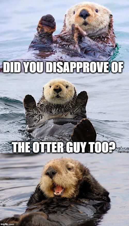 DID YOU DISAPPROVE OF THE OTTER GUY TOO? | made w/ Imgflip meme maker