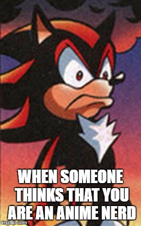 SONIC FANBASE REACTION | WHEN SOMEONE THINKS THAT YOU ARE AN ANIME NERD | image tagged in sonic fanbase reaction | made w/ Imgflip meme maker