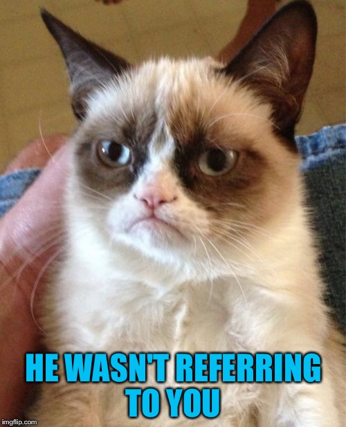 Grumpy Cat Meme | HE WASN'T REFERRING TO YOU | image tagged in memes,grumpy cat | made w/ Imgflip meme maker