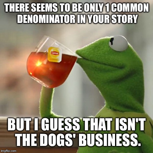 But That's None Of My Business Meme | THERE SEEMS TO BE ONLY 1 COMMON DENOMINATOR IN YOUR STORY BUT I GUESS THAT ISN'T THE DOGS' BUSINESS. | image tagged in memes,but thats none of my business,kermit the frog | made w/ Imgflip meme maker