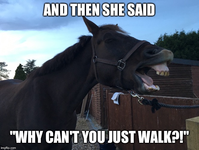 AND THEN SHE SAID; "WHY CAN'T YOU JUST WALK?!" | made w/ Imgflip meme maker