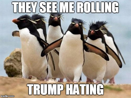 Penguin Gang | THEY SEE ME ROLLING; TRUMP HATING | image tagged in memes,penguin gang | made w/ Imgflip meme maker