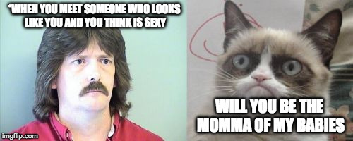 GRUMPY CAT'S SOUL MATE | *WHEN YOU MEET SOMEONE WHO LOOKS LIKE YOU AND YOU THINK IS SEXY; WILL YOU BE THE MOMMA OF MY BABIES | image tagged in memes,grumpy cats father,grumpy cat | made w/ Imgflip meme maker