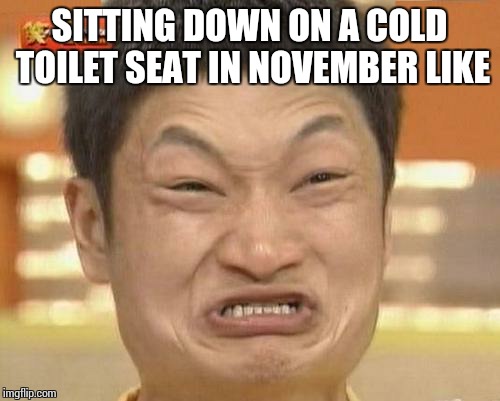 So coarddd!  | SITTING DOWN ON A COLD TOILET SEAT IN NOVEMBER LIKE | image tagged in memes,impossibru guy original | made w/ Imgflip meme maker