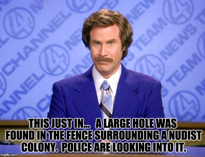 News Flash | THIS JUST IN…   A LARGE HOLE WAS FOUND IN THE FENCE SURROUNDING A NUDIST COLONY.  POLICE ARE LOOKING INTO IT. | image tagged in news flash | made w/ Imgflip meme maker