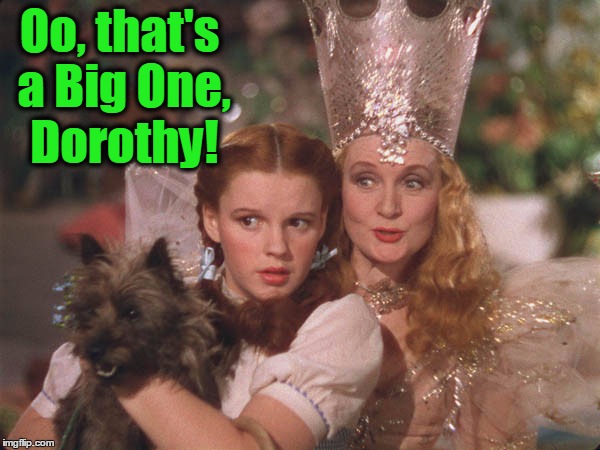 A Rather Large "Munchkin" | Oo, that's a Big One, Dorothy! | image tagged in vince vance,glinda the good witch of the north,the wizard of oz,dorothy,toto | made w/ Imgflip meme maker
