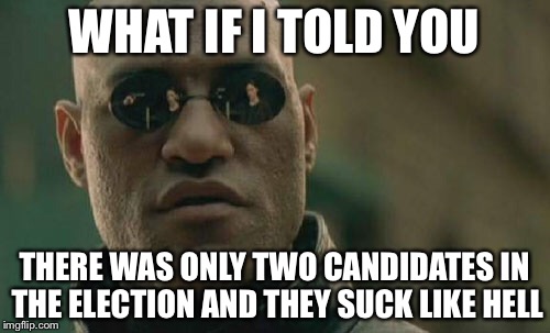 Matrix Morpheus | WHAT IF I TOLD YOU; THERE WAS ONLY TWO CANDIDATES IN THE ELECTION AND THEY SUCK LIKE HELL | image tagged in memes,matrix morpheus | made w/ Imgflip meme maker