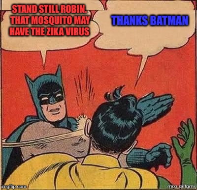Did anyone ever consider that perhaps Batman is Helping Robin?  | STAND STILL ROBIN. THAT MOSQUITO MAY HAVE THE ZIKA VIRUS; THANKS BATMAN | image tagged in batman slapping robin,zika virus,maybe we've all been judging batman too harshly | made w/ Imgflip meme maker