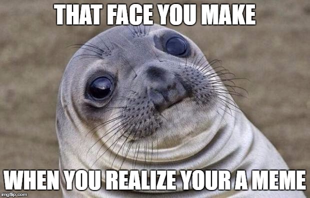 Awkward Moment Sealion | THAT FACE YOU MAKE; WHEN YOU REALIZE YOUR A MEME | image tagged in memes,awkward moment sealion | made w/ Imgflip meme maker